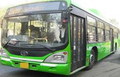 Golden Tempo Transport Co.
