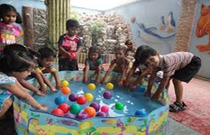 Shemrock Blooming Buds
