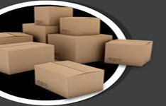 The Professional Courier Pvt Ltd
